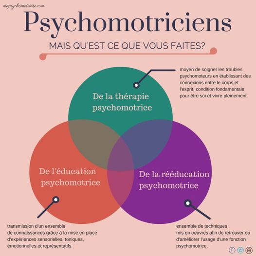 Psychomotricité et Thérapie Assistée par l’Animal